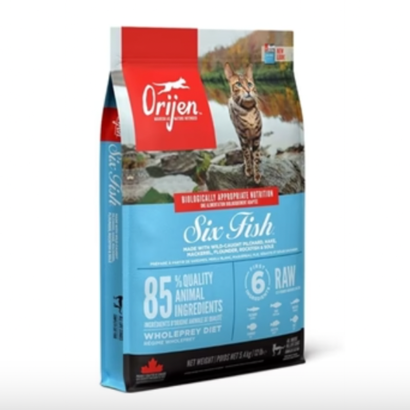 Orijen Six Fisch Katze